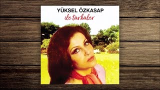 Yüksel Özkasap - Ayrılık Ateşten Bir Ok  Resimi