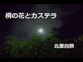 桐の花とカステラ 作:北原白秋