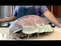 GRAPHIC: LIVE GIANT Isopod Fried Rice | Real Life Pokemon Kabuto | Isopod Cooking Hour