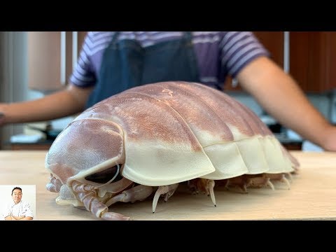 GRAPHIC: LIVE GIANT Isopod Fried Rice | Real Life Pokemon Kabuto | Isopod Cooking Hour