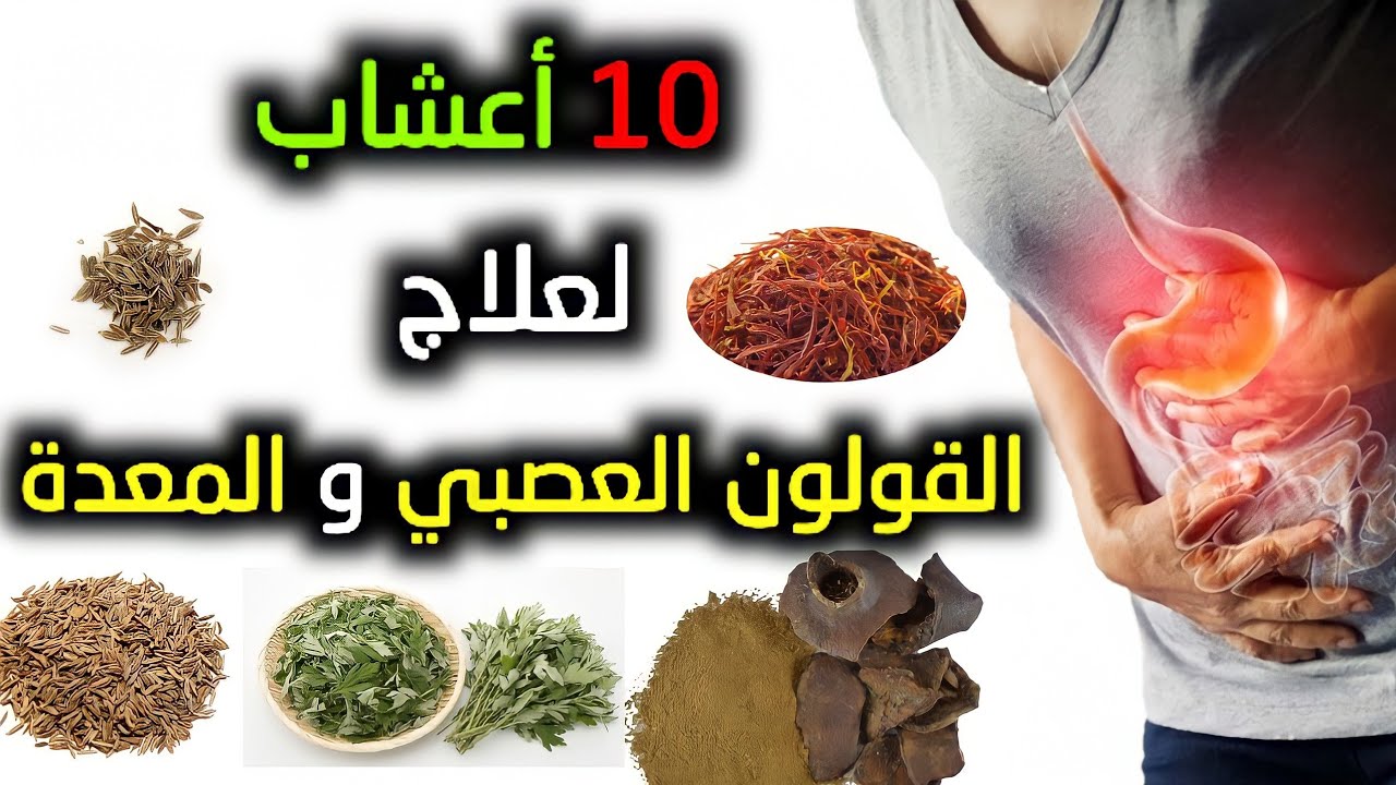 اعشاب لعلاج القولون نهائيا