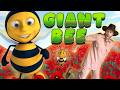Giant Bee Hunt with Explorer Riley 🐝 | Interactive Stories for Kids | Kids Bug Stories