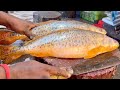 Big Poa Fish Cutting By Expert Fish Cutter | Excellent Fish Cutting Skills