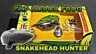 EXP Kodok Soft Rubber Frog Expert For Snakehead Hunter Haruan | Toman Bunga | Bujuk screenshot 2