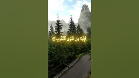 أكتب شئ تؤجر عليه | #سورة_الحج #ياسر_الدوسري #الحرم_المكي