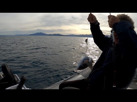 Βίντεο: Μόνος με τη θάλασσα