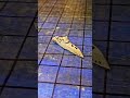 USS Zumwalt