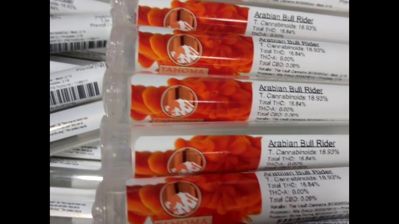 Arabian Bull Rider: Tahoma Flavors