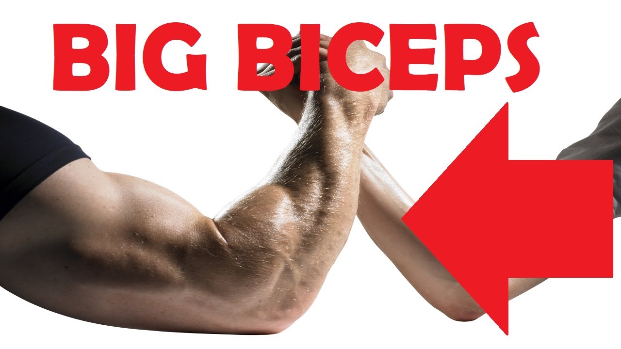 do biceps help in arm wrestling YouTube