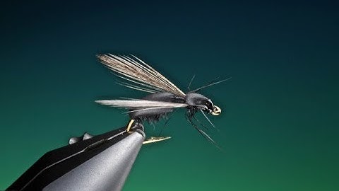 Fly Tying a Float foam ant fly with Barry Ord Clarke