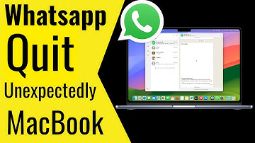 How to Fix WhatsApp Quit Unexpectedly on Mac (macOS Sequoia)