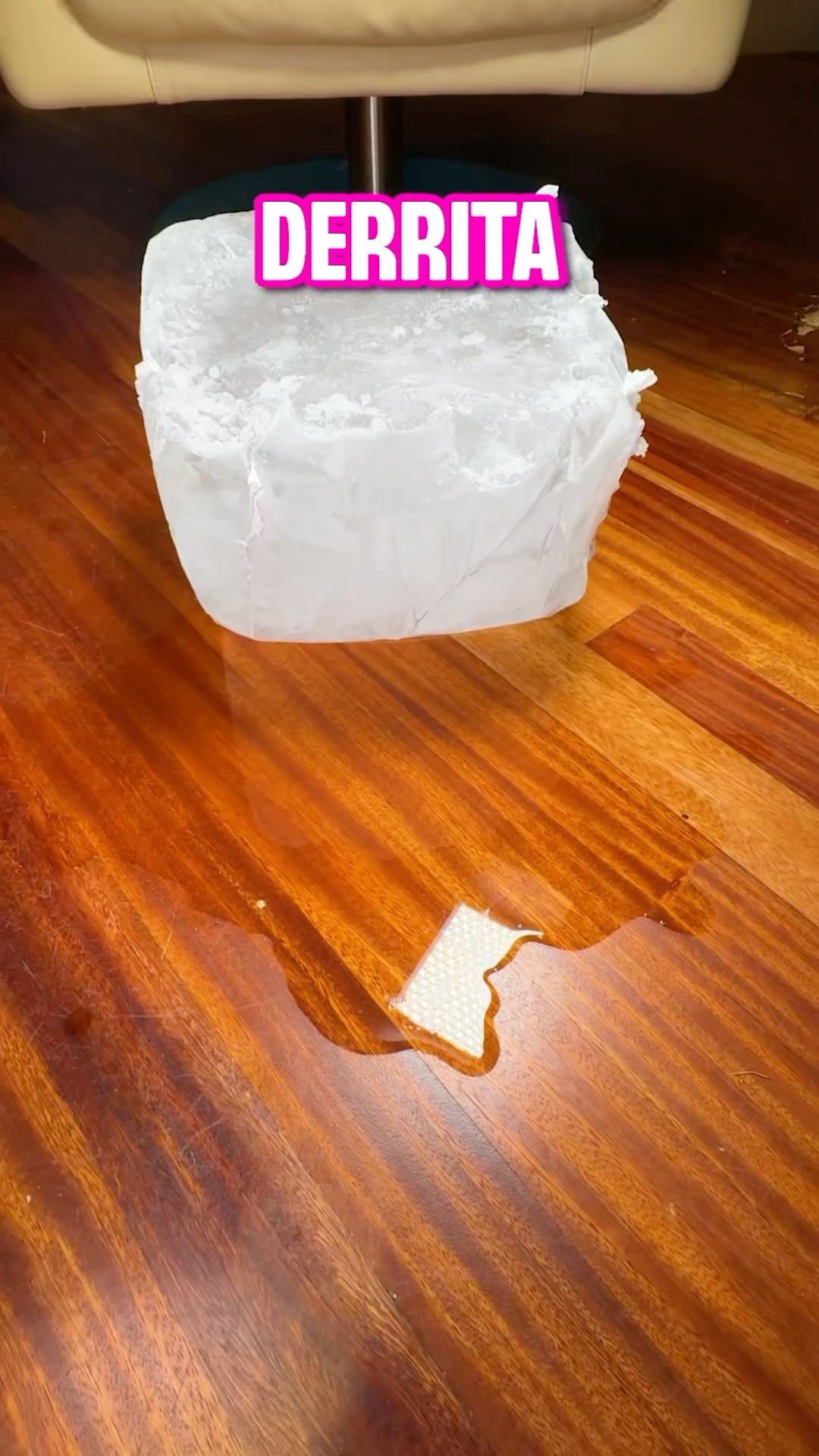 CREÉ UN BLOQUE DE HIELO ?