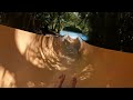 Water slide in the waterpark at vidanta grand mayan nuevo vallarta