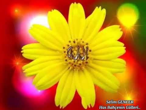 Selim GENCER Has Bahçenin Gülleri Müziksiz İlahi 