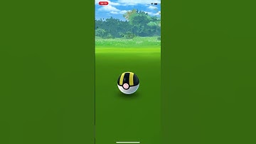 EOGHANS FIRST SHINY #TIMBURR #POKÉMON GO