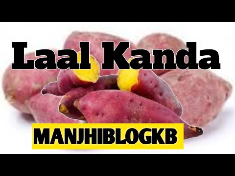 What is this red Kanda? यह लाल कंडडा क्या है? Kaisa kandda Hai? Yaar ...