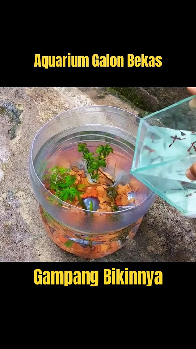 Membuat Aquarium Dari Botol Galon #leminerale #galonbekas