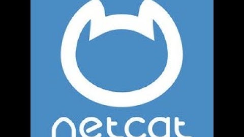 Establishing a TCP connection to DVWA server with Netcat