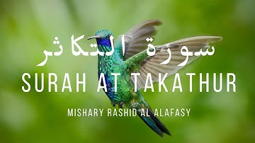 سورة التكاثر - Surah At Takathur(vying for increase) | Mishary Rashid Al Alafasy