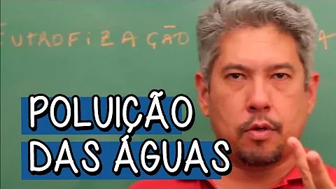 Como o aumento da DBO de um rio Eutrofizado pode influenciar os seres vivos encontrados nele explique ci tando a mudança na biota ao longo das zonas do Rio mos trado na página anterior?