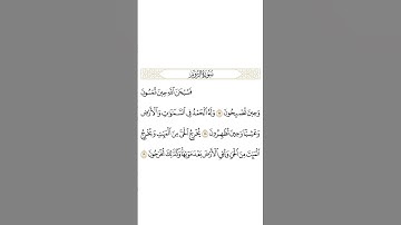 فسبحان الله حين تمسون وحين تصبحون الآية 17 من سورة الروم