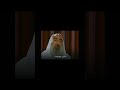 عام 2027 ونهايه اسرائيل الشيخ احمد ياسين يتحدث 