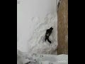 Зимний экстрим Муренка / winter extreme Murenka #зима #экстрим #short_videos #winterseason