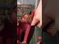 BIG CARNIVOROUS PLANTS 💪​  #shortvideo