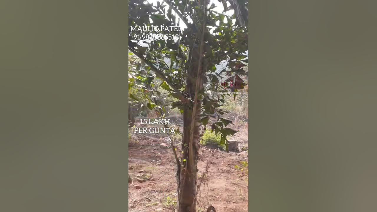 1 ACRES LAND FOR SALE ID 380 UTTAN GORAI BHAYANDAR WEST