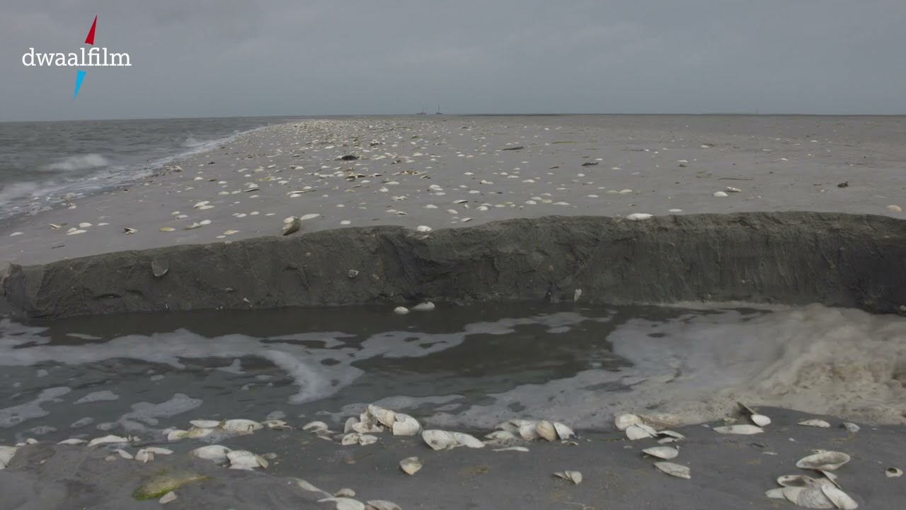 wadplaat uit en instromen