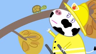 Peppa Pig Official Channel | Naughty Tortoise | Cartoons For Kids | Peppa Pig Toys