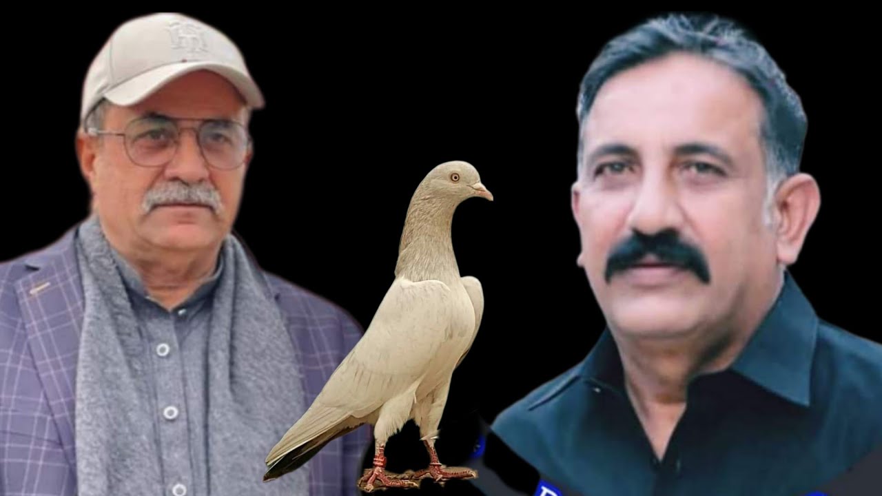 Ustad Raja Ustad Moeen Nawaz Pigeon vs Ustad Raja iftikhar Kaka - YouTube
