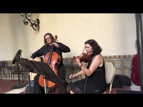 Violin + Cello