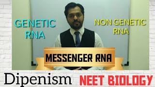 Structure of mRNA | MESSENGER RNA | Molecular basis of Inheritance | RNA WORLD #Dipenism #NEET