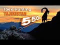 Ibex hunting in tajikistan  chasse  libex au tadjikistan  2022