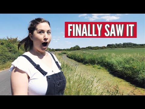 Real English Village Tour + Wildlife Spotting  | Kewstoke, North Somerset UK Travel Vlog Part 3