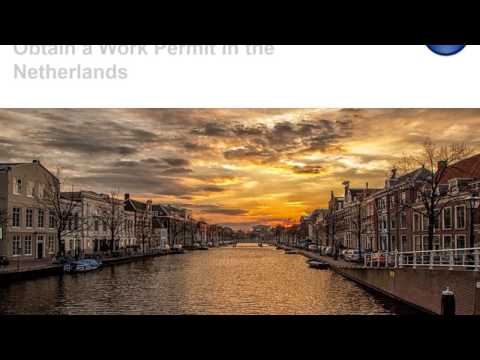 Obtain a Work Permit in the Netherlands