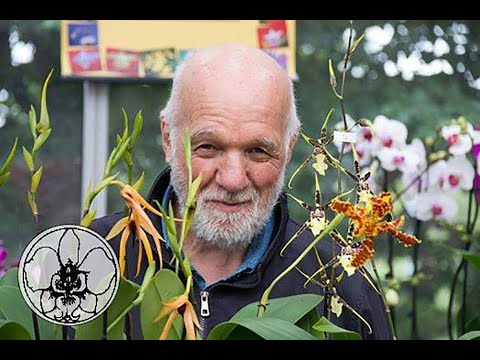 il decamerone delle orchidee n° 34 un&rsquo;orchidea può cambiare colore?