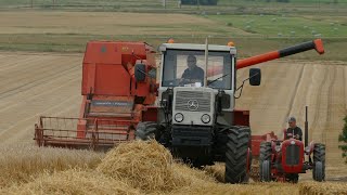 : VINTAGE HARVEST DAY 2025 - CB Veteranerne