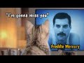 Remembering Freddie Mercury&#39;s Private life- Tribute Video