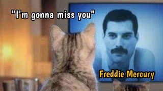 Remembering Freddie Mercury's Private life- Tribute Video