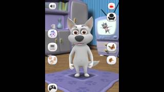 [My Talking Dog] screenshot 4