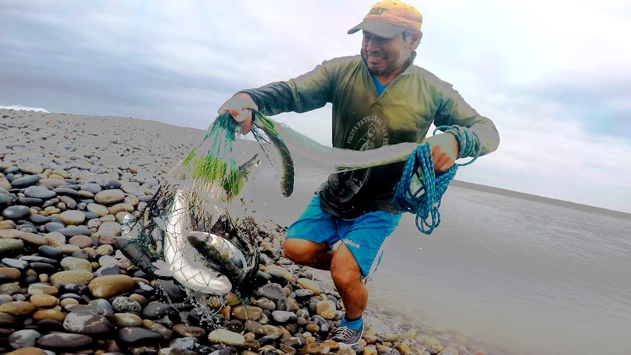 La Pesca Con Atarraya: Saca Carnada, Prepara El Anzuelo Y Atrapa ...