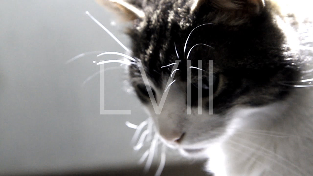 Timmehtek LVIII - Combos and frameworks at The vulcan's 48 | Tech poi