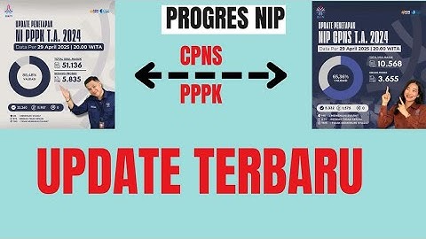 Progres penetapan NIP cpns dan pppk