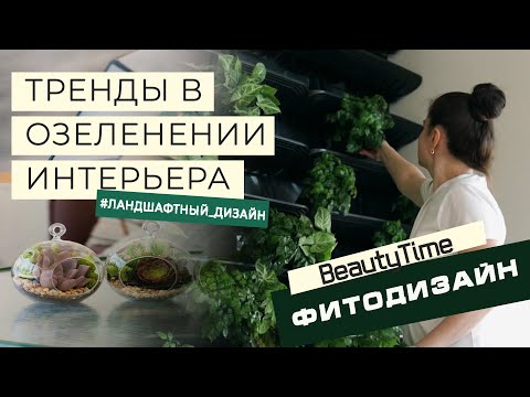 Фитодизайн интерьера: делаем фитокартину
