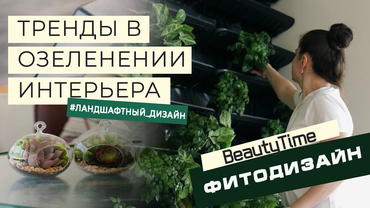 Фитодизайн интерьера: делаем фитокартину - YouTube