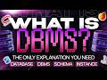 DBMS Lecture 1: From Data to Database (No More Confusion)