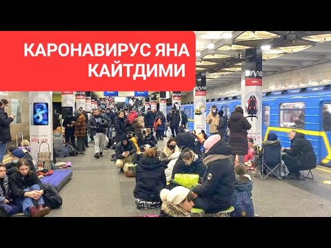 Ташкент москва автобус | Ташкент Краснодар автобус 2023