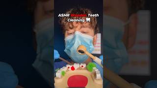 ASMR Dentist Wooden Teeth Exam & Cleaning #asmr #funny #pov #roleplay